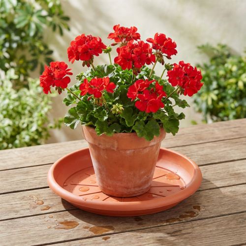 Soucoupe ronde en plastique terracotta Ø33cm | Floristik24.fr