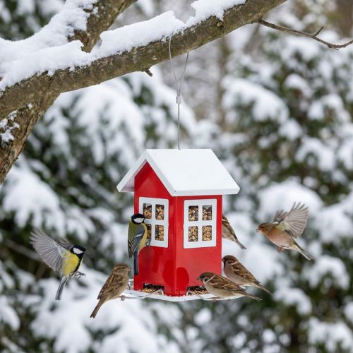 Maison à oiseaux rouge et blanche en métal avec toit ouvrant H19cm | Floristik24.fr