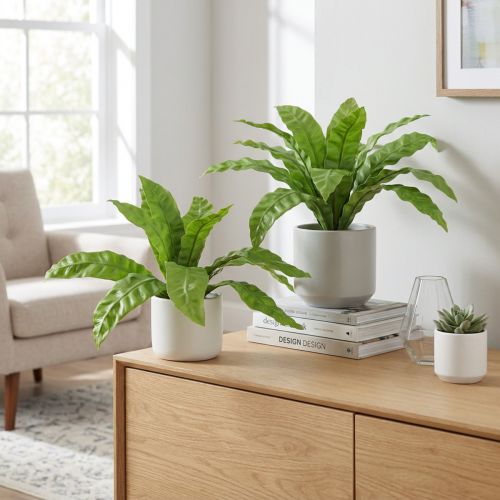 Plantes artificielles Nestfarn