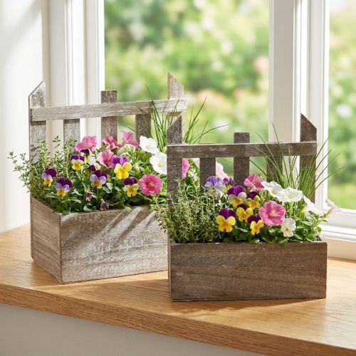Jardinière en bois, mini jardinière L22/25cm, lot de 2 | Floristik24.fr