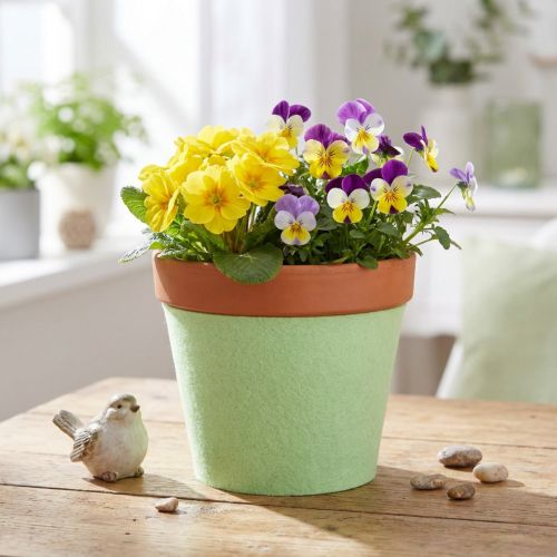 Ruban feutre pour pot vert clair 15cm 5m | Floristik24.fr