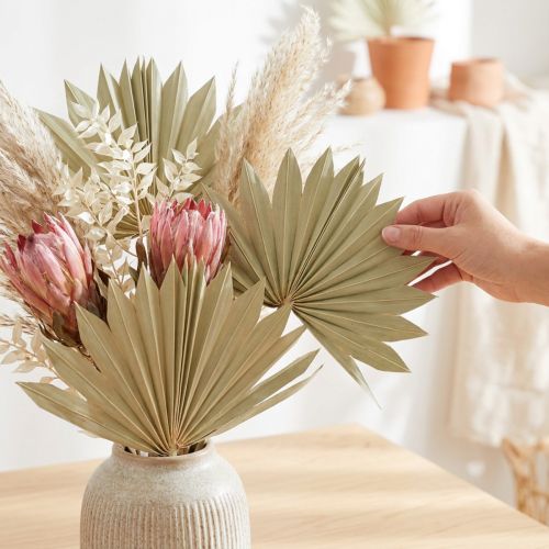 Mini Palmes Séchées Naturelles Soleil 50 pcs | Floristik24.fr