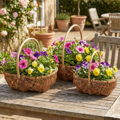 Article Lot de 3 paniers ovales tressés avec anses en bois naturel pour plante ou décoration