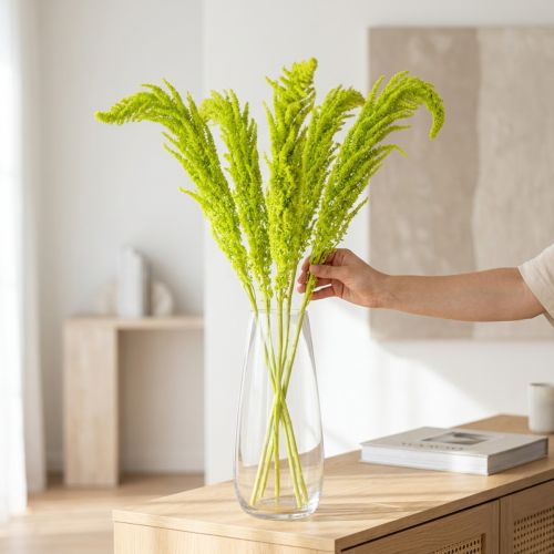 Queue de Renard Séchée Teintée Vert Clair 100 cm - Lot de 5 | Floristik24.fr