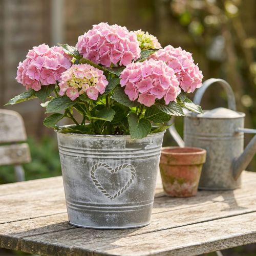 Cache-pot en métal style Shabby Chic avec motif cœur 22 cm x 17,5 cm | Floristik24.fr