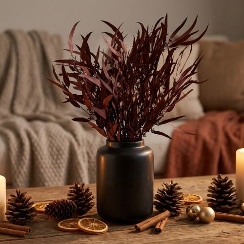 Article Eucalyptus Conservé en Branches Rouges et Brunes 56 cm 135 g