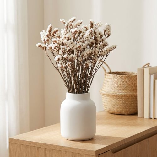 Fleurs séchées Limonium blanc naturel 60-65 cm 35 g | Floristik24.fr