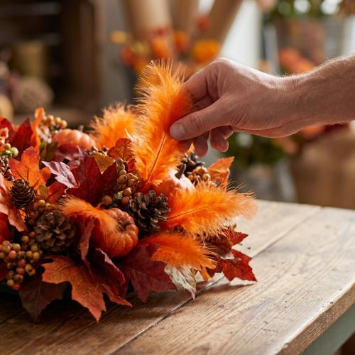 Article Plumes décoratives courtes 30 g orange