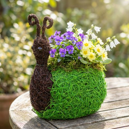 Porte-plante escargot en métal et osier vert naturel 21x14x26 cm | Floristik24.fr
