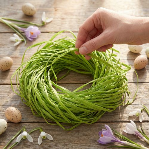 Fibre de raphia naturelle pour décoration et bricolage - Vert pomme - 200g | Floristik24.fr