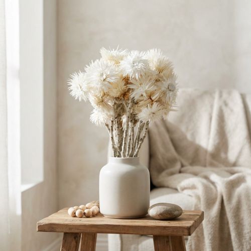 Article Fleurs séchées naturelles blanches Capblumen et Immortelles H33cm