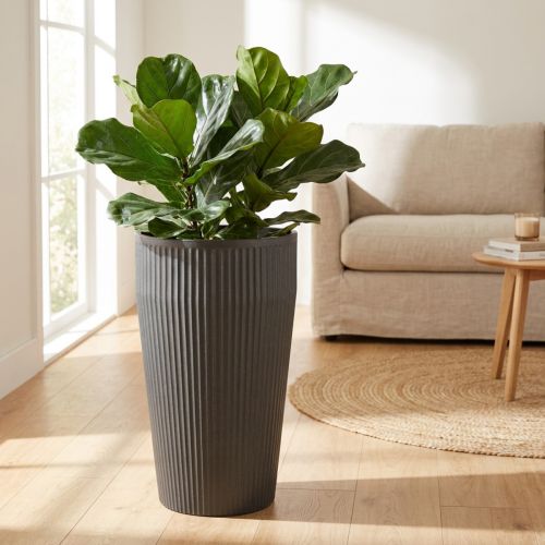Vase d'intérieur en plastique anthracite Ø28 cm H46,5 cm | Floristik24.fr
