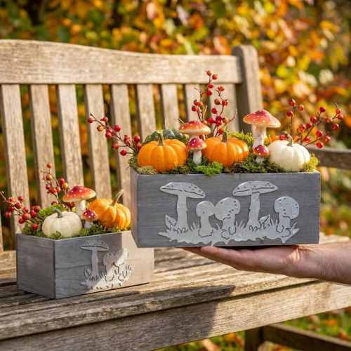 Set de 2 caisses en bois décoratives avec motif champignon, gris-blanc, pour plantation et déco d'automne | Floristik24.fr