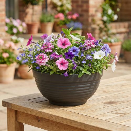 Coupe en plastique anthracite Ø19 cm (lot de 10) | Floristik24.fr