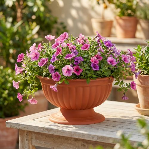 Article Coupe en plastique avec pied finition terracotta Ø26cm