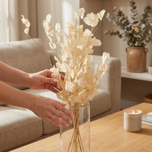 Article Branche de lunaria séchée couleur champagne 65-70 cm 20 g