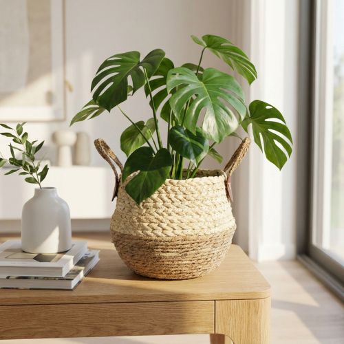 Panier en Herbe de Mer Bicolore avec Anses - Ø25cm x H24cm | Floristik24.fr