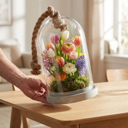 Cloche en verre avec base effet béton et corde Ø17cm H28cm | Floristik24.fr