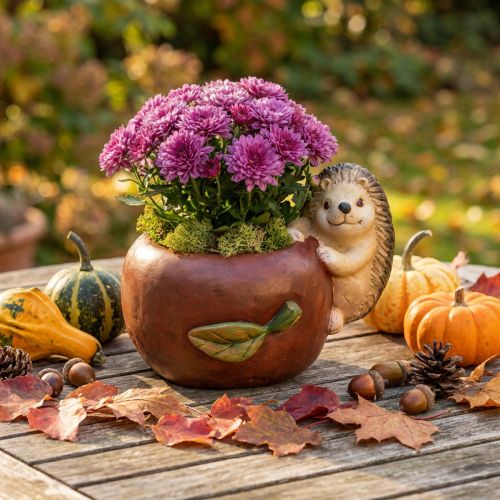 Cache-pot pomme en céramique avec hérisson – Décoration d'automne – Ø16cm H22cm | Floristik24.fr