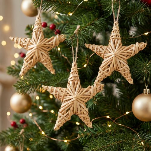 Lot de 6 étoiles en rotin naturel 11 cm décoration de Noël | Floristik24.fr