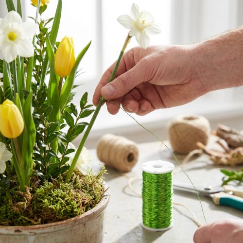 Fil effet bouillon décoratif Ø0,30 mm 140 m vert pomme pour créations florales et décoration | Floristik24.fr