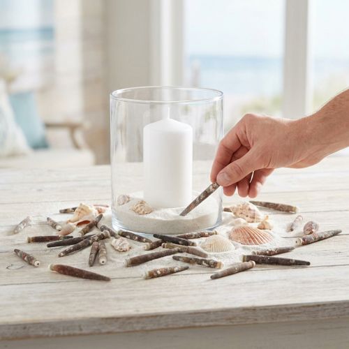 Épines de oursin naturelles 3-8 cm 450 g – Décoration marine | Floristik24.fr