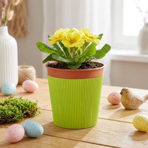 Manschettes plissées pour pots de fleurs vert clair 14,5 cm - Lot de 100 | Floristik24.fr