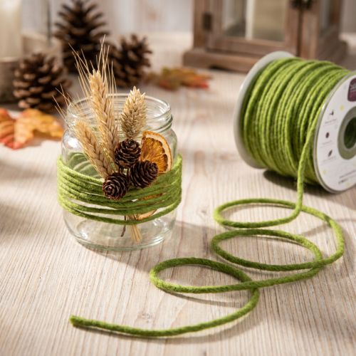 Article Fil de laine décoratif vert mousse 3 mm 100 m