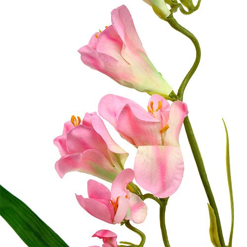 Floristik24 Freesia rose 56 cm 4 p.