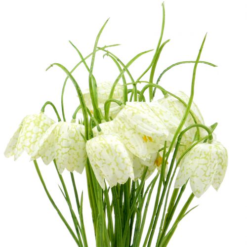 Floristik24 Fleurs d&#39;échiquier Fritillaria artificielles blanches, vertes 40cm 12pcs
