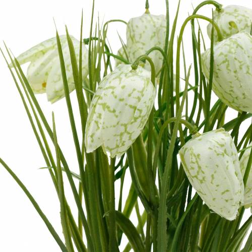 Floristik24 Fritillaria en pot, fleur en damier vert et blanc, fleur artificielle