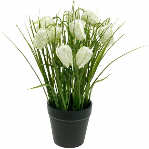 Fritillaria en pot, fleur en damier vert et blanc, fleur artificielle