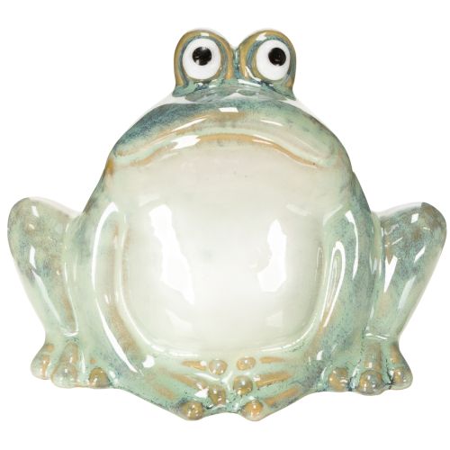 Figurine décorative de grenouille en céramique, design détaillé, charmante idée cadeau, 13 cm