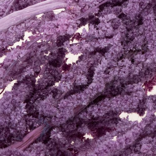 Article Fleurs séchées de queue de renard, teintées, pour décoration intérieure moderne, 100 cm, lot de 5