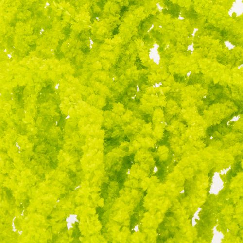 Article Fleurs séchées de queue de renard, teintées, pour une décoration intérieure raffinée et des touches uniques, 100 cm, lot de 5