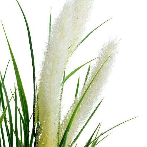 Floristik24 Herbe de sétaire verte, blanche 63cm