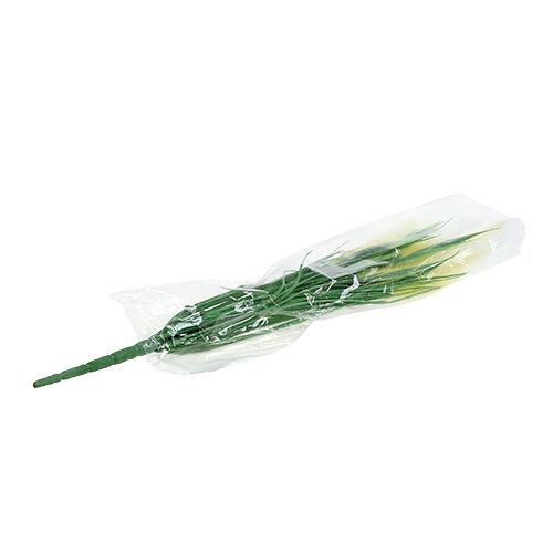 Floristik24 Herbe de sétaire verte, blanche 63cm