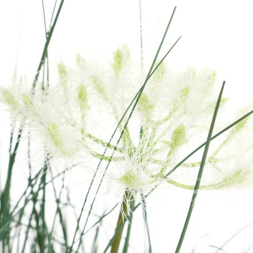 Floristik24 Fleur artificielle d'herbe de scirpe Fleurs artificielles dans un pot 56cm