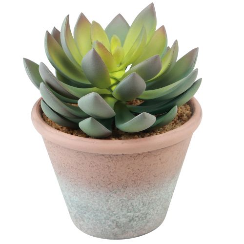 Article Plante succulente en pot Echeveria artificielle vert vintage Ø15cm H16cm