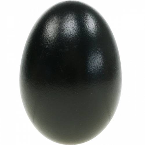 Article Œufs d&#39;oie noirs soufflés, décoration de Pâques, 10 pièces
