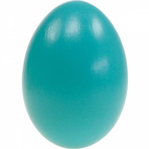 Floristik24 Oeufs d'oie oeufs soufflés turquoise décoration de Pâques 12 pcs