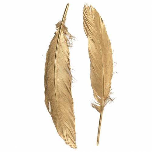 Floristik24 Plumes dorées pour artisanat 16-18cm 12pcs