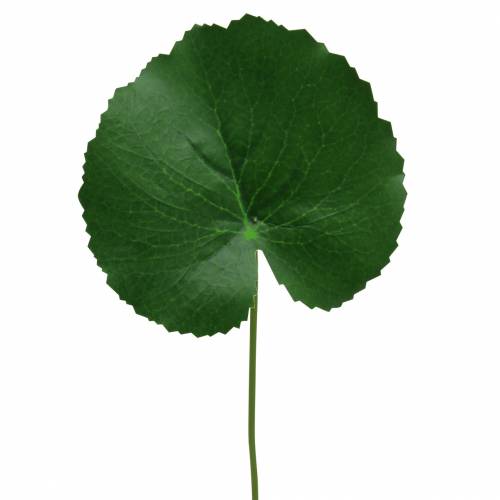 Floristik24 Feuille de bronze Galax artificiel vert Ø9cm H30cm 12pcs