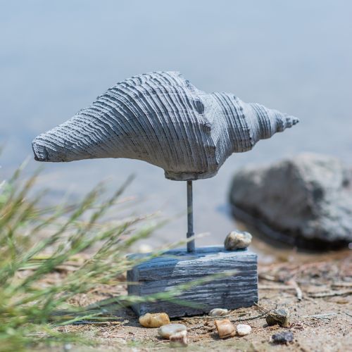 Article Figurine de jardin coquillage sur pied H30cm