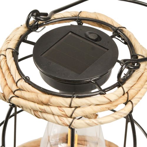 Article Lanterne de Jardin Lampe Solaire de Jardin Métal Noir Ø17cm