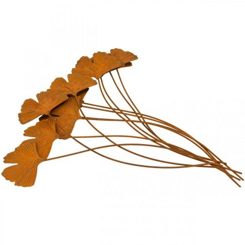 Floristik24 Piquet de jardin feuille de ginkgo rouille piquet de lit 7x5cm 6pcs