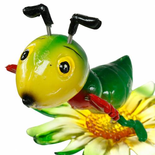 Floristik24 Piquet de jardin Cricket sur la Fleur Coloré 11cm