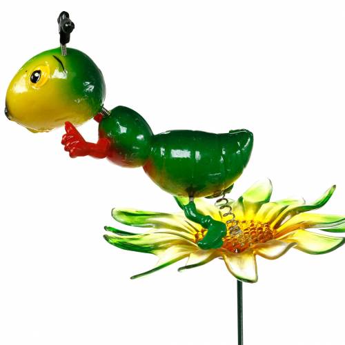 Floristik24 Piquet de jardin Cricket sur la Fleur Coloré 11cm
