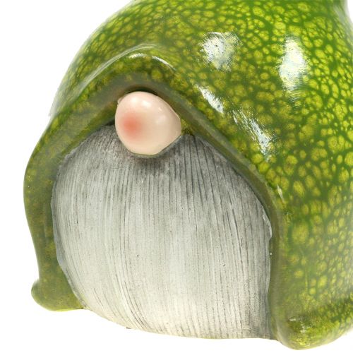 Floristik24 Nain de Jardin Nain Vert 20cm