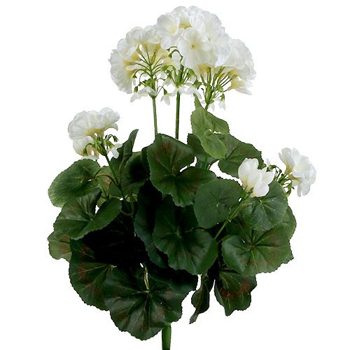 Géranium Buisson Blanc 38cm